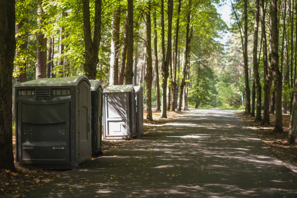 Best Local porta potty services  in Nedrow, NY